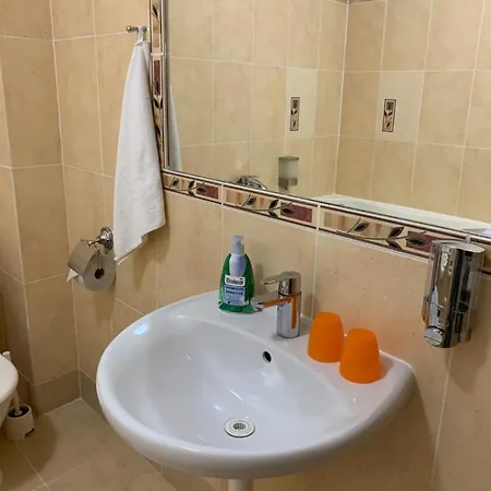 Gasthof Penzion Holiday 3*